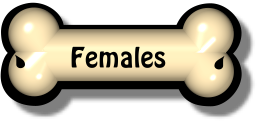 Botton Bone Females Botton Bone Females
