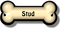 Botton Bone Stud Botton Bone Stud