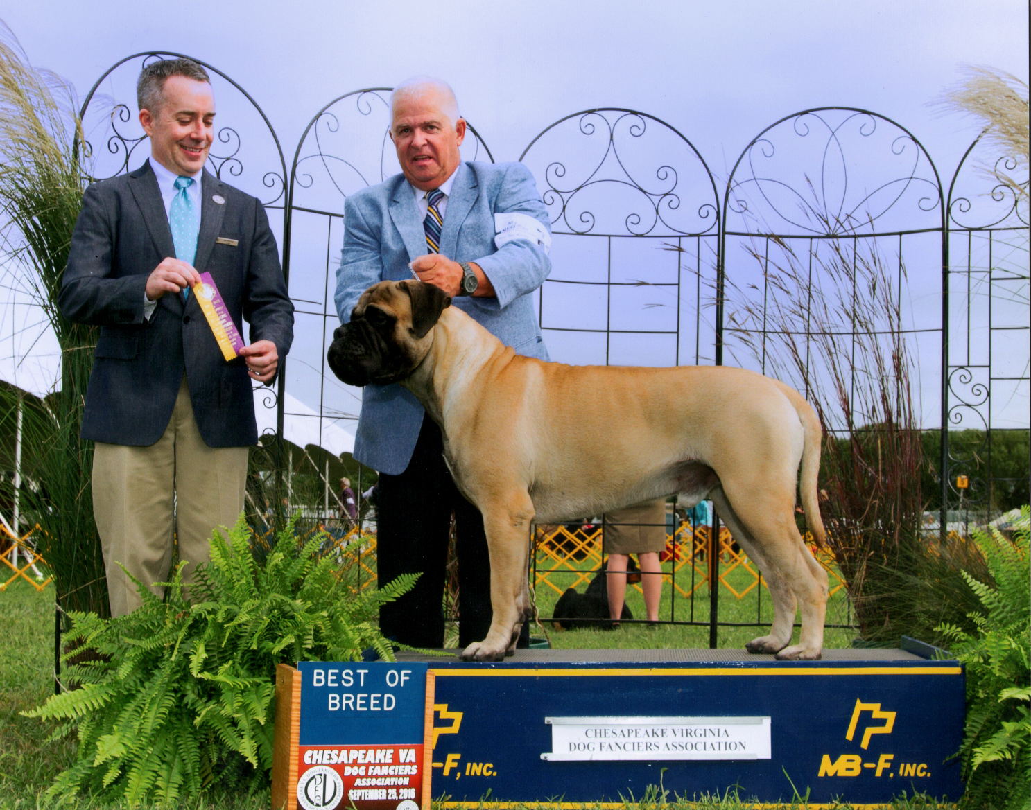 Odin Best of Breed Sept 2016a Aa
